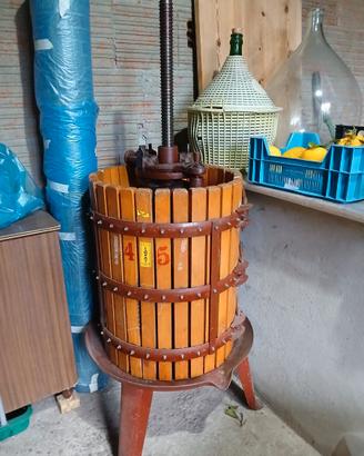 Torchio pigiatrice e contenitore per UVA