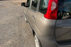 Panda Ibrida seminuova