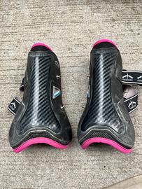 Pony-stinchiere Veredus