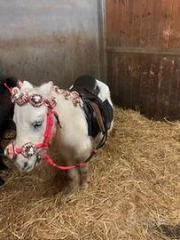 Mini pony