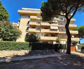 3 LOCALI A TARQUINIA