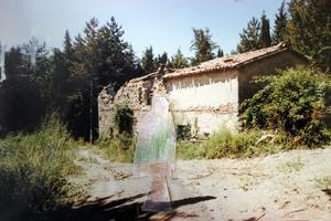 Terreno c.24 ettari, casa collabente 200mq.S.Fiora