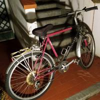 Bicicletta