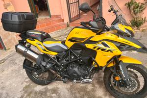 Benelli 502x modello agosto 2023 GIALLA