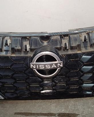 MASCHERINA ANTERIORE NISSAN Juke Serie (F16) 62310