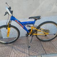 Mountain bike 