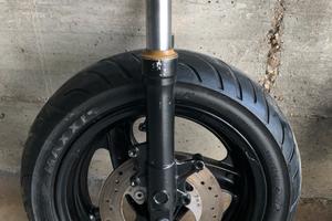 Forcelle phantom f12