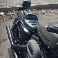 Schienalino Harley Davidson Sportser 1200 roadste