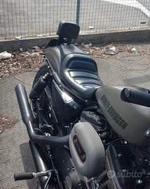 Schienalino Harley Davidson Sportser 1200 roadste