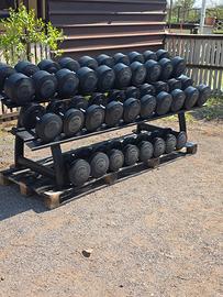 manubri technogym palestra 