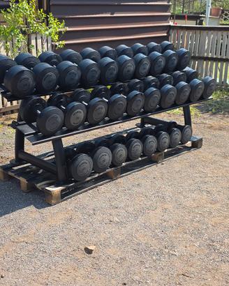 manubri technogym palestra 