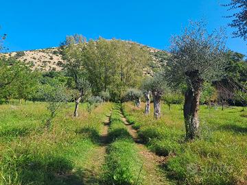 Terreno agricolo in Caserta