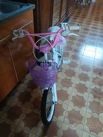 Bicicletta piccola