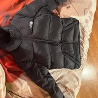Giubbotto The north face