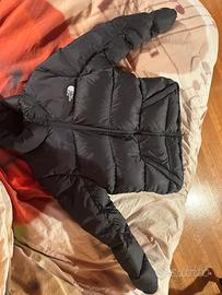 Giubbotto The north face