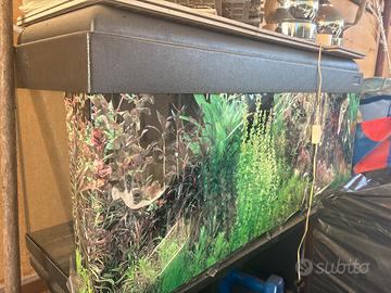 Acquario 80 lt