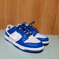 Nike Dunk low n. 43