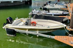 barca per le domeniche in relax