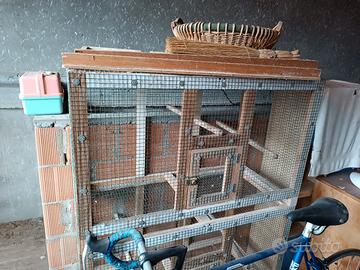 Gabbie e voliere per uccelli