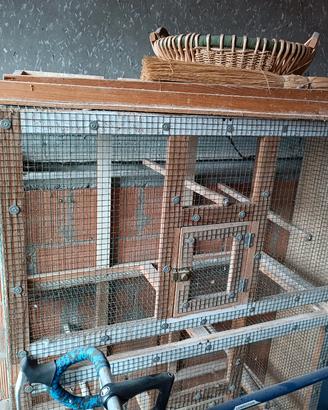 Gabbie e voliere per uccelli