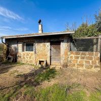 TER. AGRICOLO A BASSANO IN TEVERINA