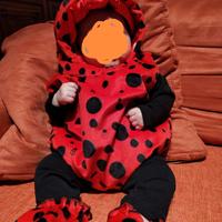 Vestito Carnevale COCCINELLA