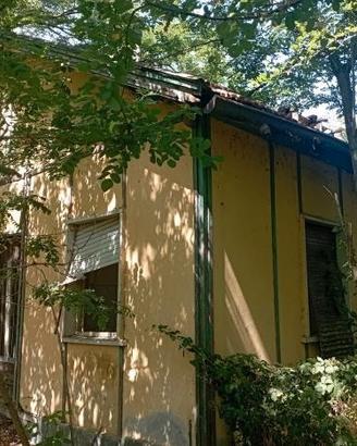 RGE 6/2025 Trib Pavia