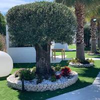 Prato Erba  sintetica