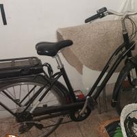 Bicicletta pedalata  assistita