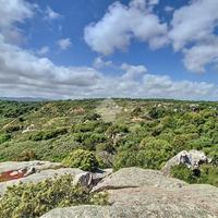 TER. AGRICOLO A LUOGOSANTO