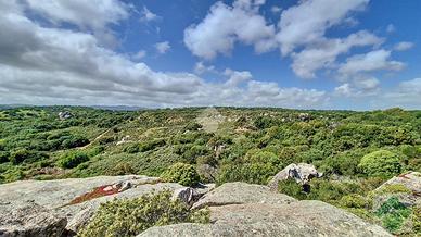 TER. AGRICOLO A LUOGOSANTO