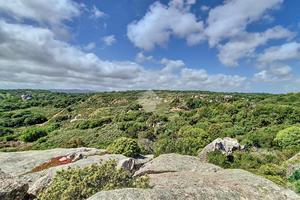 TER. AGRICOLO A LUOGOSANTO