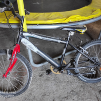 Bicicletta bambino - raggio 20