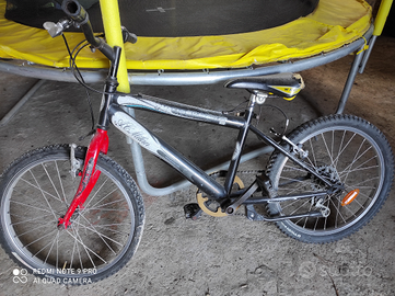 Bicicletta bambino - raggio 20