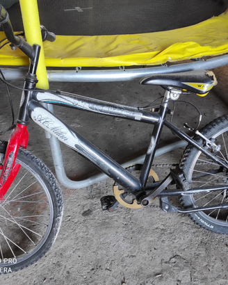 Bicicletta bambino - raggio 20