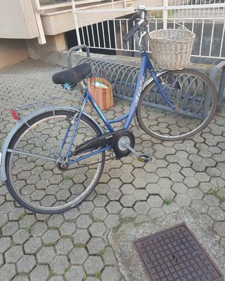 bici donna