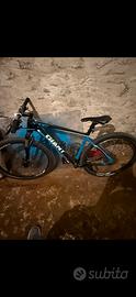 Bici MTB