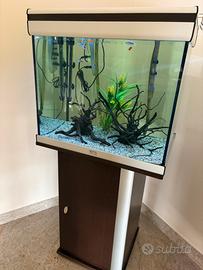 Acquario con mobiletto e accessori !