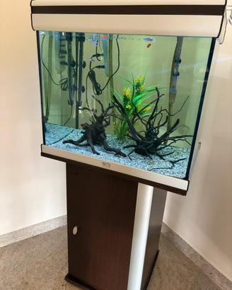 Acquario con mobiletto e accessori !