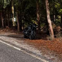 Mt125 2023