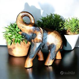 Elefante in legno pregiato Blackwood