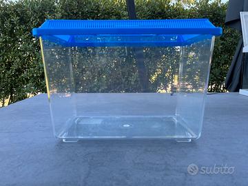 Acquario/vaschetta 30 litri in plastica con filtro