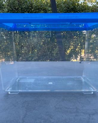 Acquario/vaschetta 30 litri in plastica con filtro