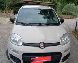 Fiato Panda metano
