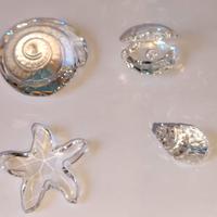swarovski set 4 conchiglie