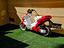 Immagine 3