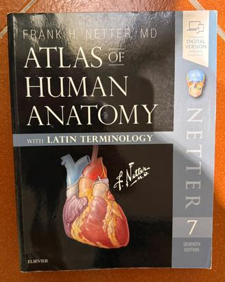 Netter - Atlante di anatomia umana