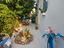 Immagine 24