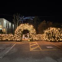 Lici di Natale