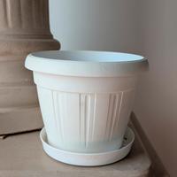 Vasi Bianchi Esterno 